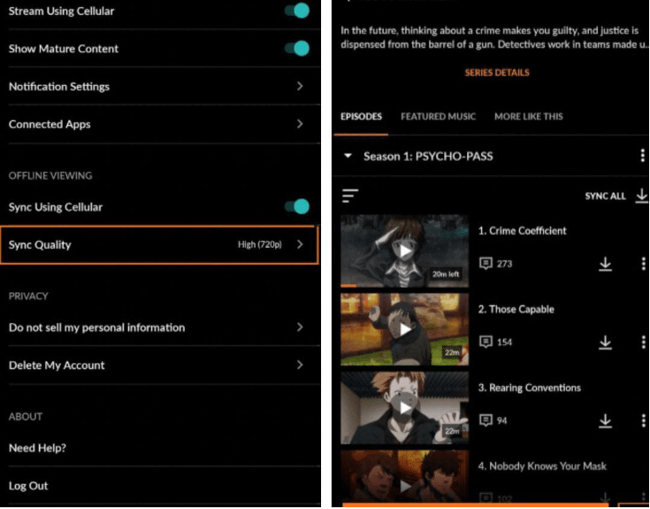 Review: Is CleverGet Crunchyroll Downloader Worth It?