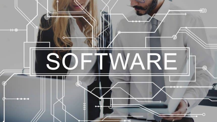 Role of Custom Software Development in Business Growth