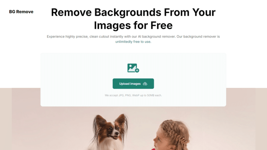 BG Remove Review Powerful AI-Driven Background Remover