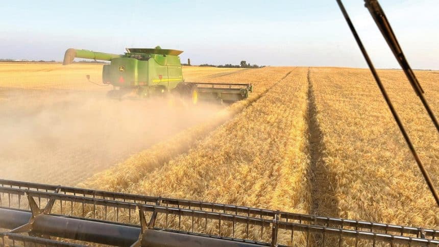 Vertical Farming Victoria Gerrard La Crosse WI Explains How Technology is Transforming Urban Agriculture