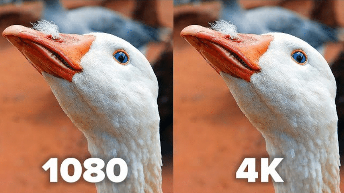 1080P vs.4K What's the Difference Between 1080p & 4K?