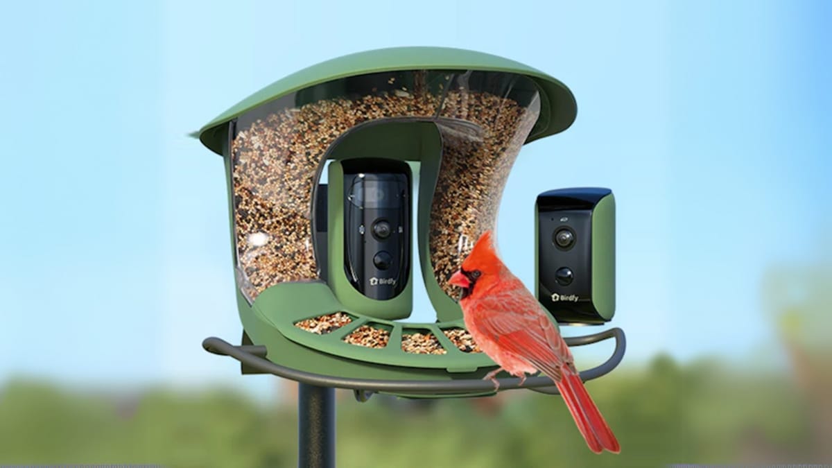 Advanced AI Technology In Birdfy Bird Feeder With Built-In Camera