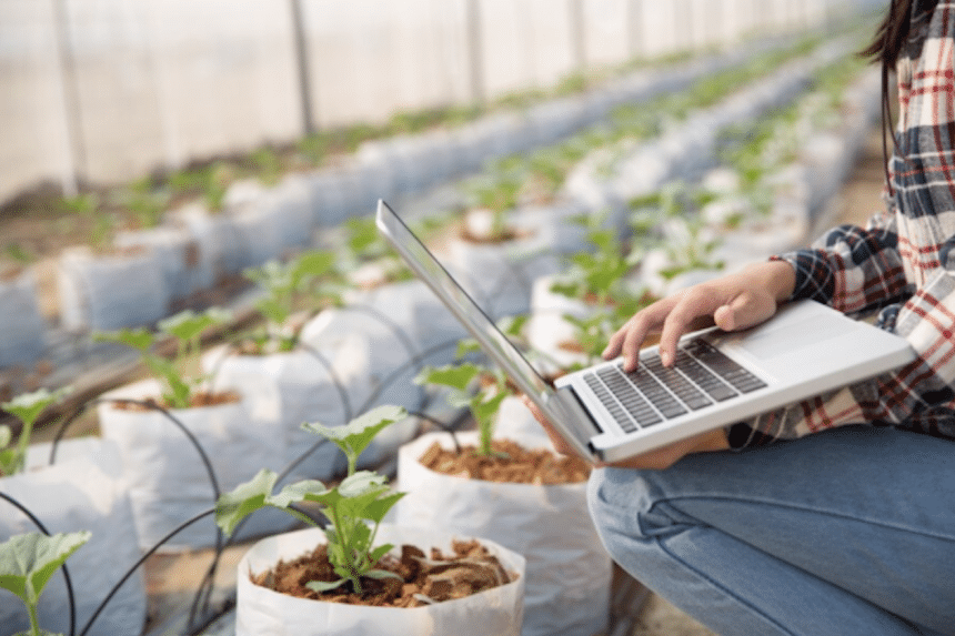 Smart Gardening: Harnessing Macs to Boost Specialty Plant Yields