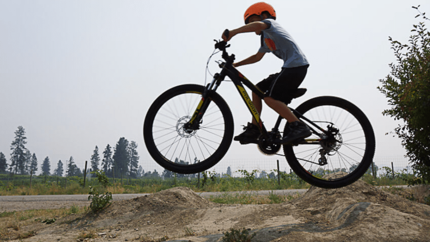 How to Choose the Best Kids Bike Easy Buying Tips & Top Picks for 2025