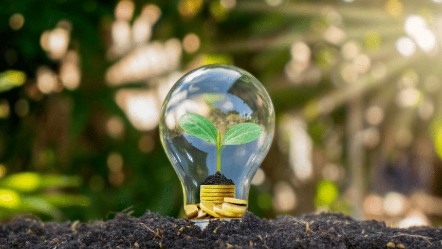 The Role of Energy Management Services in Sustainable Business Practices