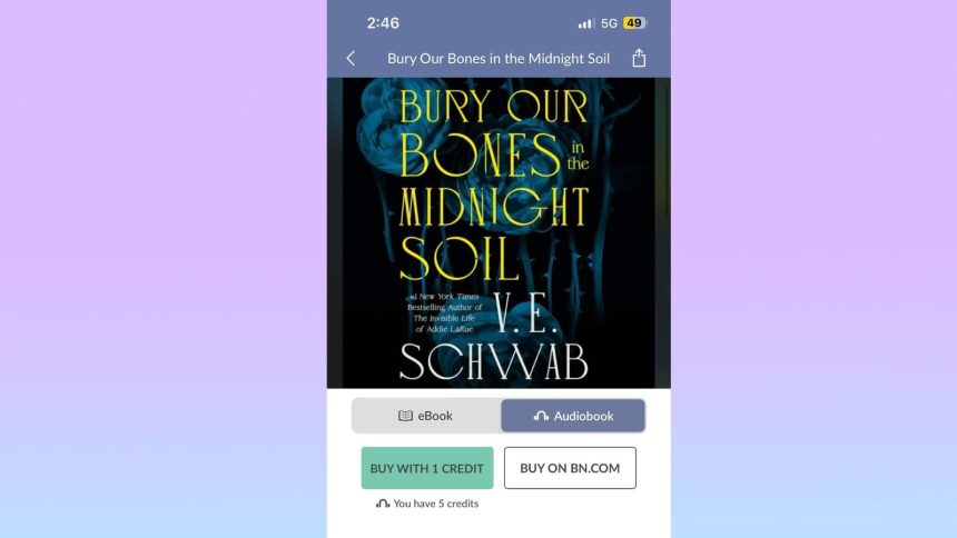 The iOS Nook App Adds Purchase Links
