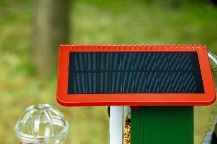 DETIKO Launches Smart Bird Feeder Series with AI Recognition and Solar Power