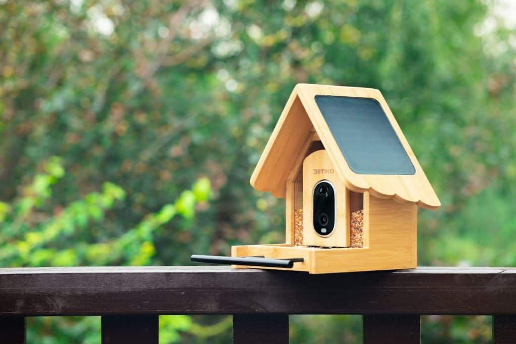 DETIKO Launches Smart Bird Feeder Series with AI Recognition and Solar Power