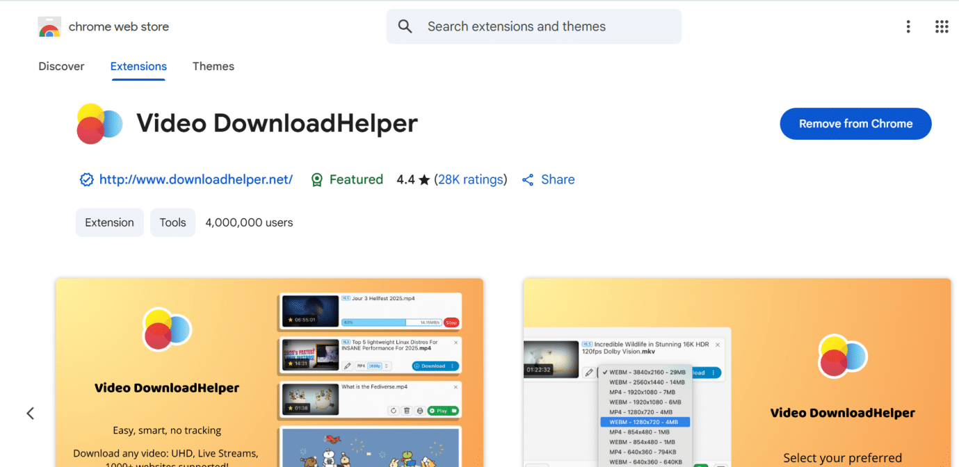 download youtube video with browser extension