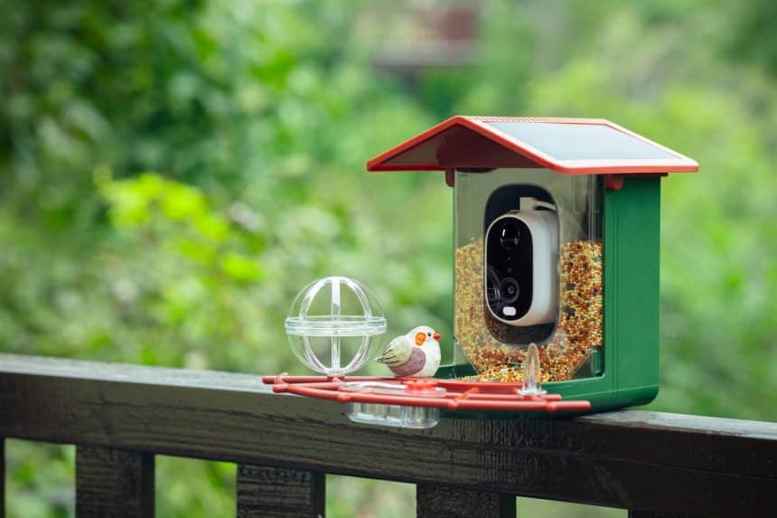 Image 1 of See More, Miss Less