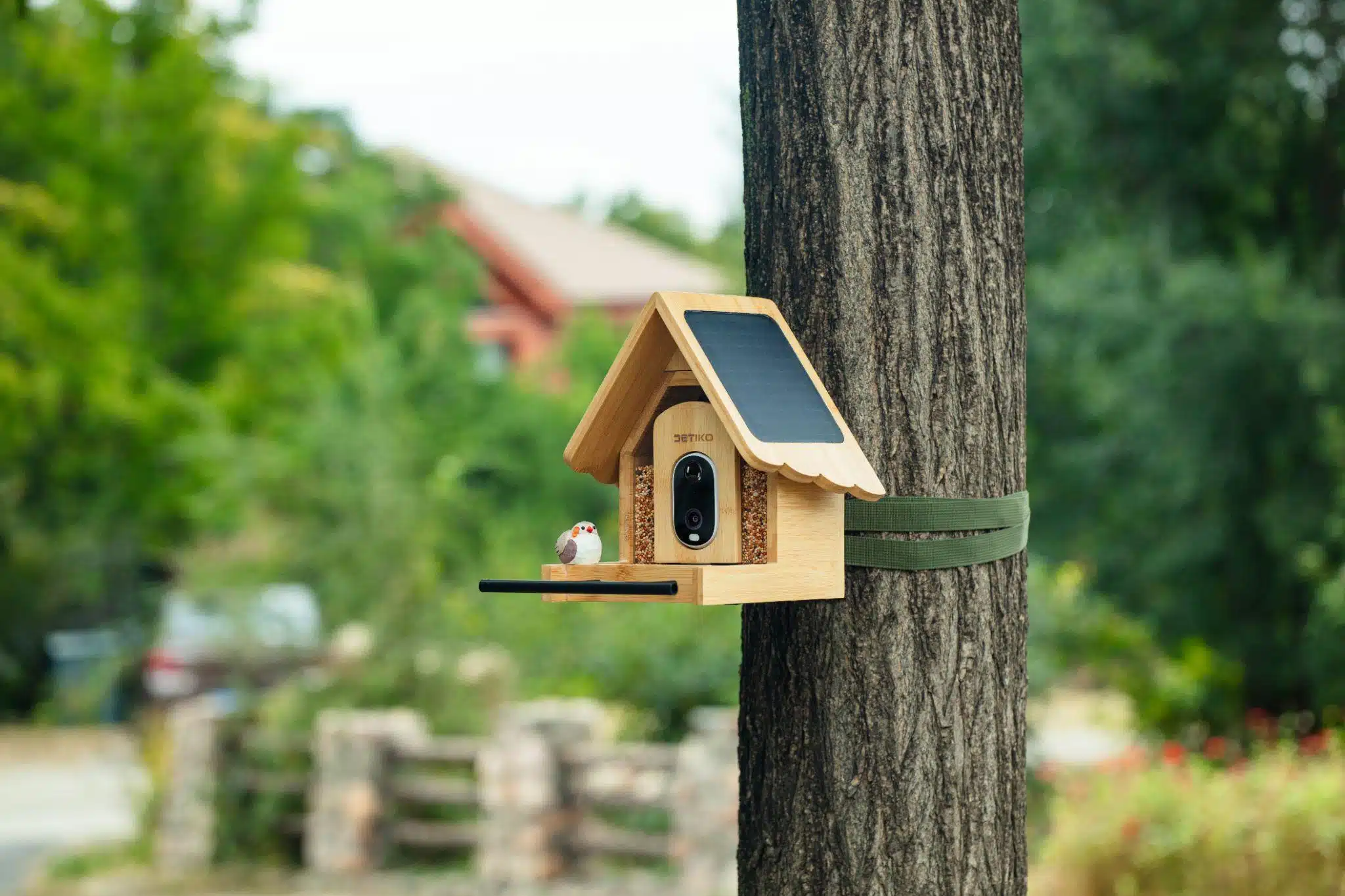 DETIKO’s Smart Bird Feeders Make the Perfect Christmas Gift for Nature-Loving Families with 35% Off