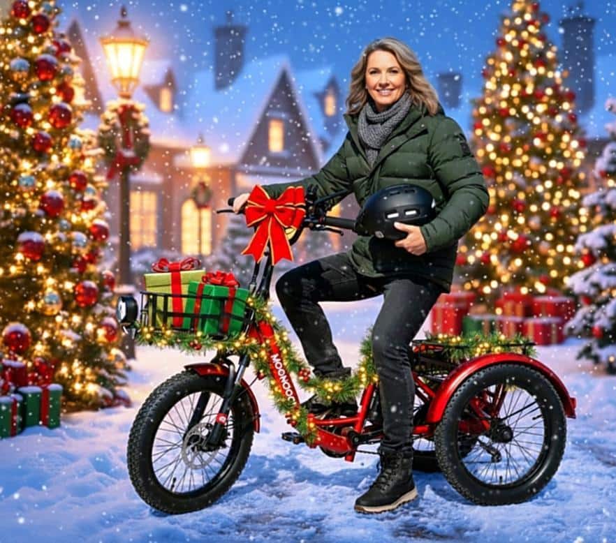 Mooncool TK Pro E-trike