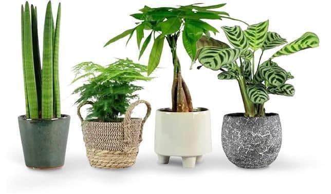 Thoughtful Gifts for Home Workers: Productivity Upgrades They’ll Appreciate