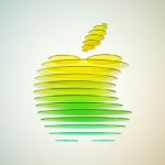 Apple Experience Begins