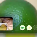 Gen Z Catches Weird Apple TikTok Videos
